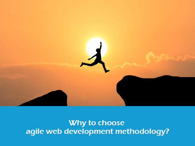 Why choose agile web development methodology?