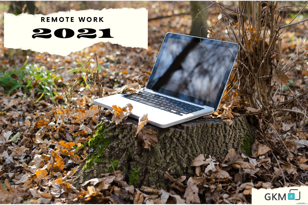 Remote work in the IT industry: List of benefits, and best practices