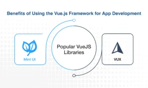 VueJS Libraries for App Features